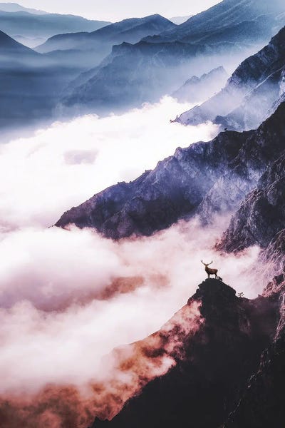 All Good Things Are Wild And Free by Siroj Hodjanazarov canvas print