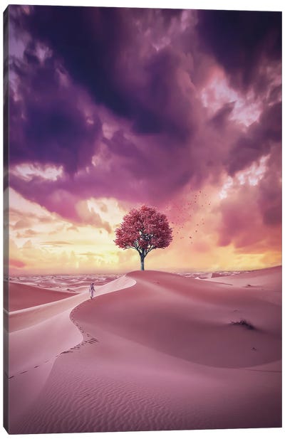 Salvation Tree Canvas Art Print - Desert Landscape Photography