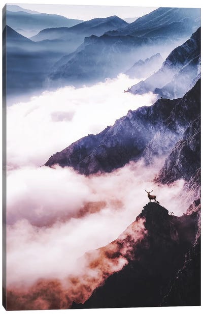 All Good Things Are Wild And Free Canvas Art Print - Mist & Fog Art
