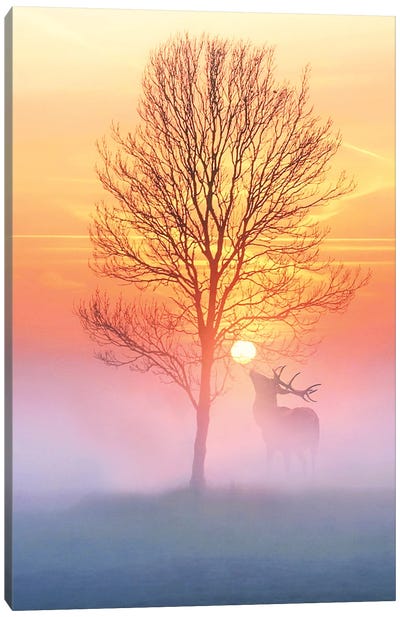 Loneliness Is A Quality Of The Strong Canvas Art Print - Mist & Fog Art