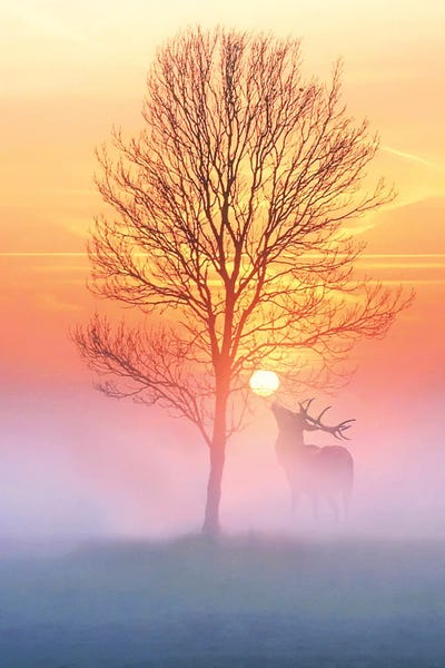 Mist & Fog: Loneliness Is A Quality Of The Strong by Siroj Hodjanazarov