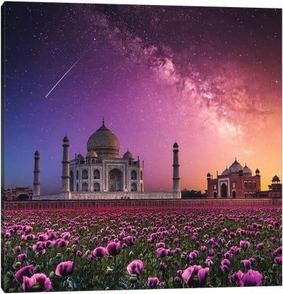 Taj Mahal Canvas Art Print - Siroj Hodjanazarov