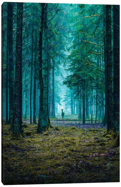 The Forest Canvas Art Print - Forest Art