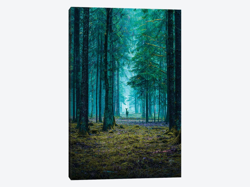 The Forest by Siroj Hodjanazarov 1-piece Canvas Art