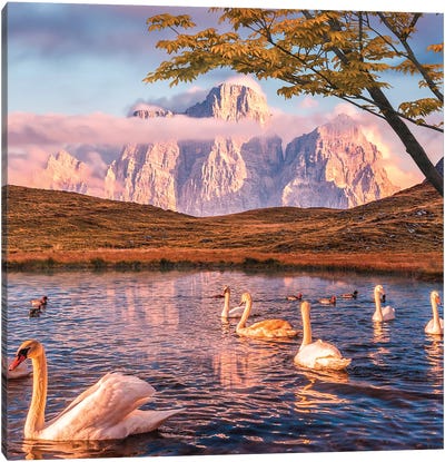 Alps Canvas Art Print - Swan Art
