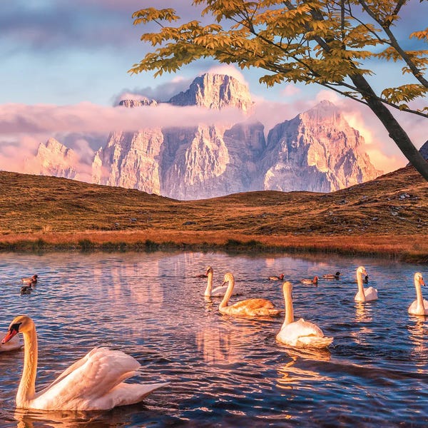 Golden Hour Animals: Alps by Siroj Hodjanazarov