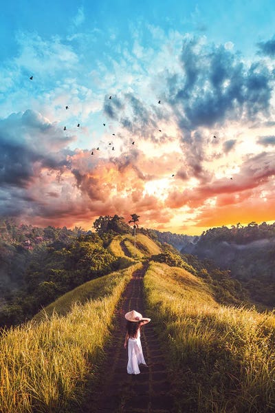 Siroj Hodjanazarov: It's Sunny Bali by Siroj Hodjanazarov