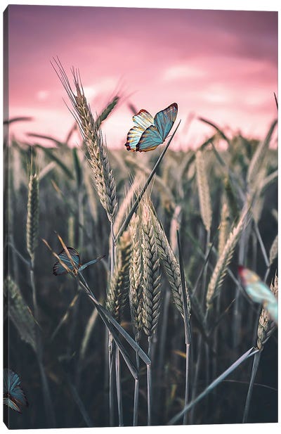 Butterfly Canvas Art Print - iCanvas Exclusives