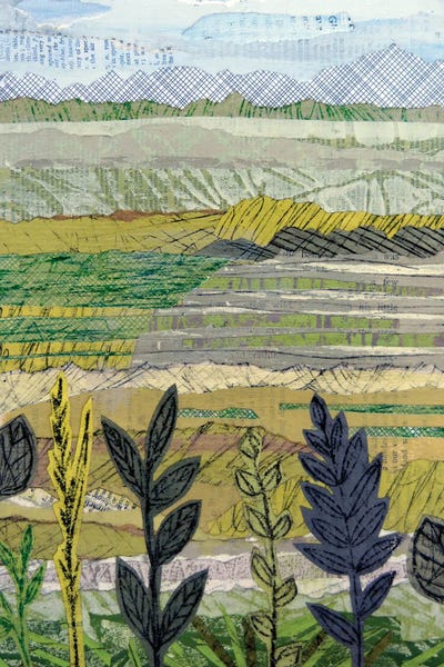 Sue Johnson: Hills And Hedges by Sue Johnson