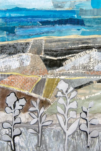 Distant Fields by Sue Johnson canvas print