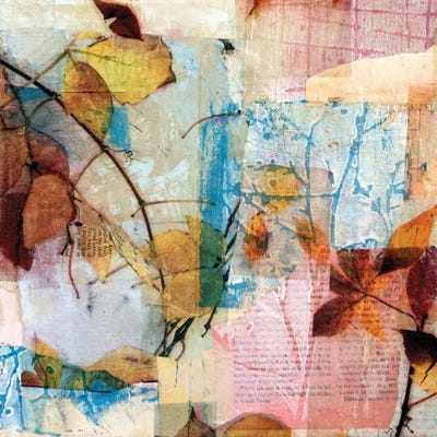 Falling Harmony by Sue Johnson canvas print