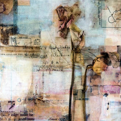 New Collars For Old Dresses by Sue Johnson canvas print