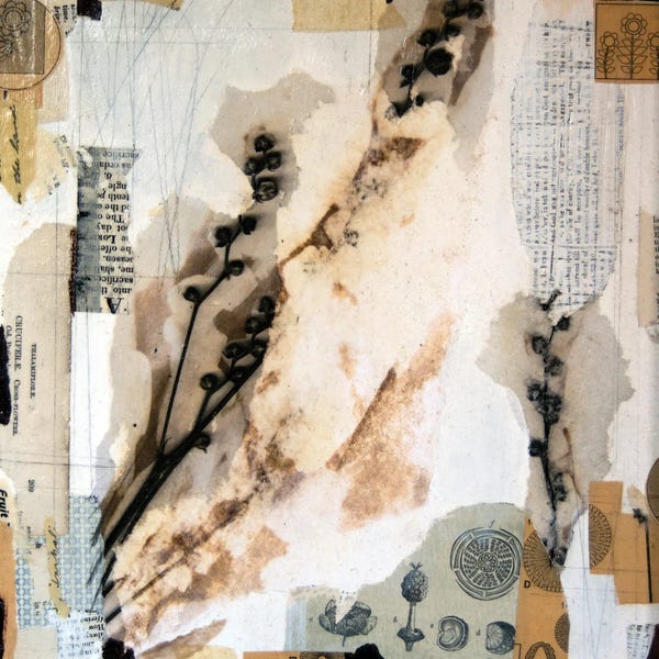 Fine Art Print: Thalamiflorae by Sue Johnson