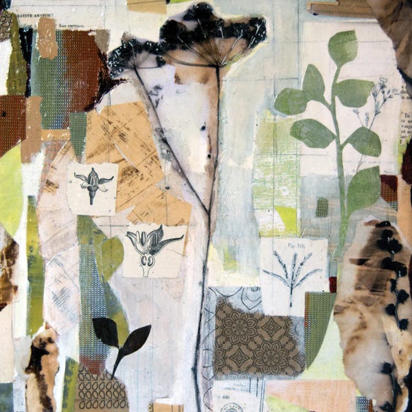 Fine Art Print: Plant Anatomy by Sue Johnson