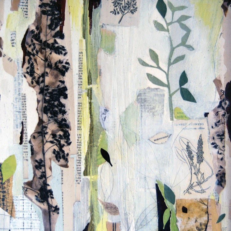 Morphology by Sue Johnson wall art