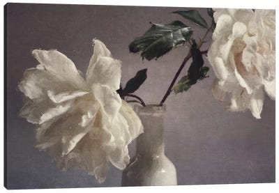 Blooms On My Table Canvas Art Print - Sarah Jarrett