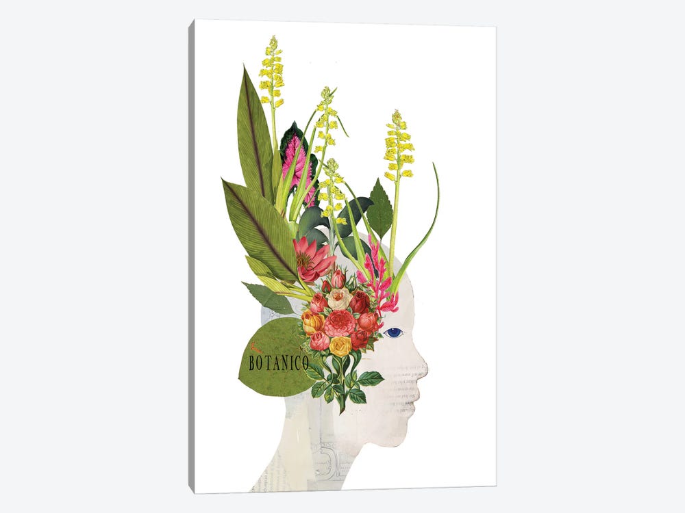 Botanico by Sarah Jarrett 1-piece Canvas Print