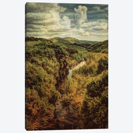 Dartmoor Diary Canvas Print #SJR14} by Sarah Jarrett Canvas Print