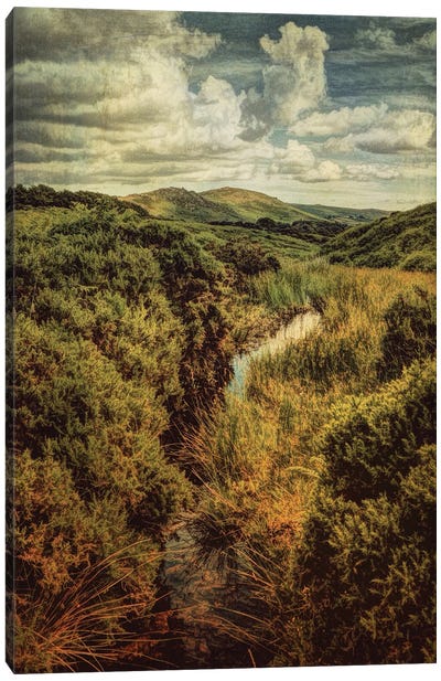 Dartmoor Diary Canvas Art Print - Sarah Jarrett