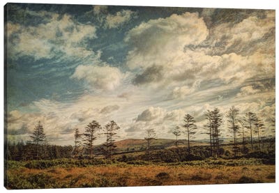 Dartmoor In Summer Canvas Art Print