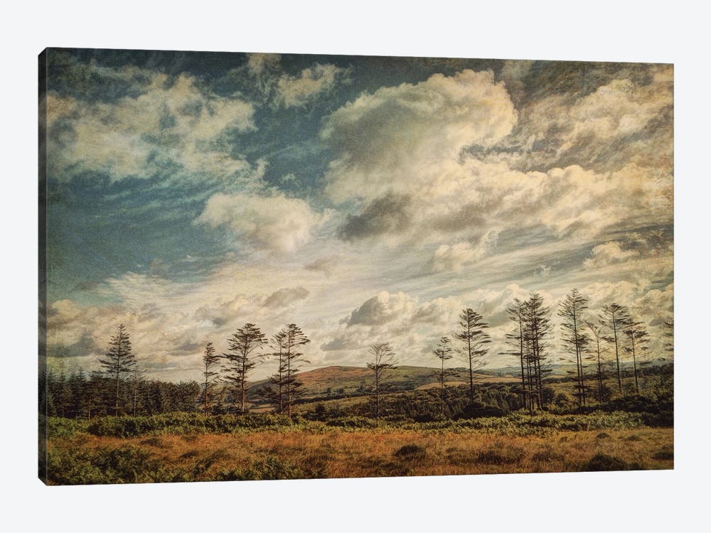 Dartmoor In Summer by Sarah Jarrett 1-piece Canvas Print