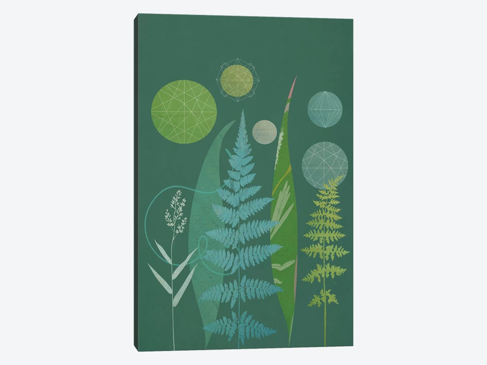Ferns by Sarah Jarrett 1-piece Art Print
