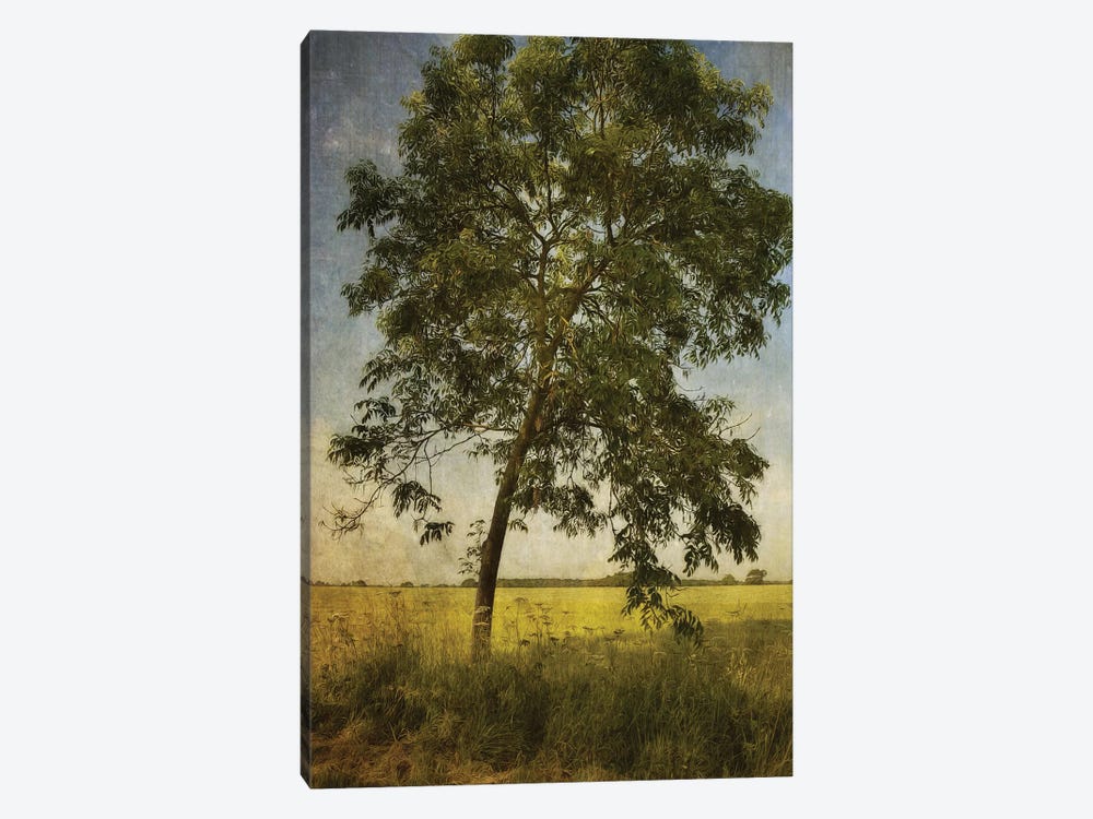 Across The Fields by Sarah Jarrett 1-piece Canvas Print