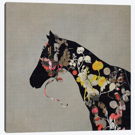 Land Of Horses Canvas Print #SJR38} by Sarah Jarrett Canvas Wall Art