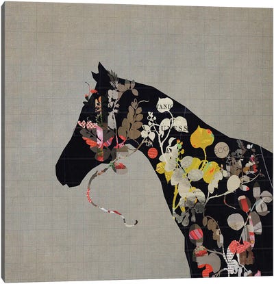Land Of Horses Canvas Art Print - Sarah Jarrett