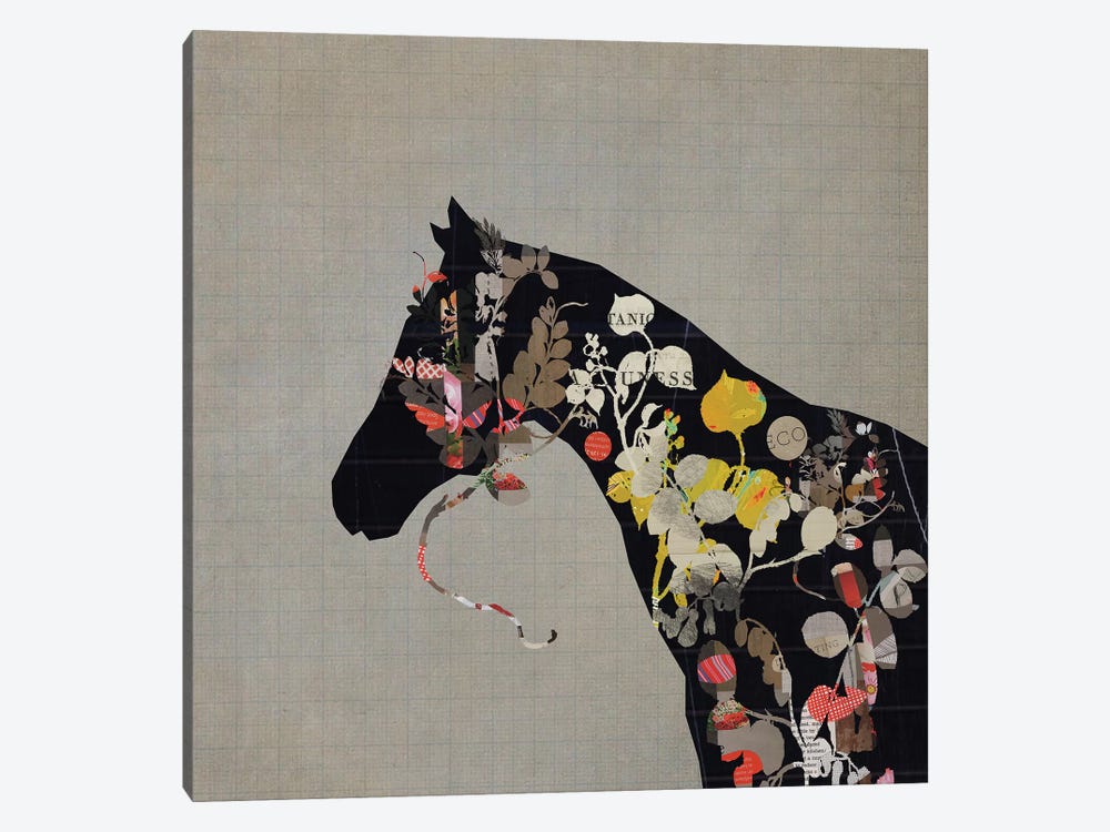 Land Of Horses by Sarah Jarrett 1-piece Canvas Art