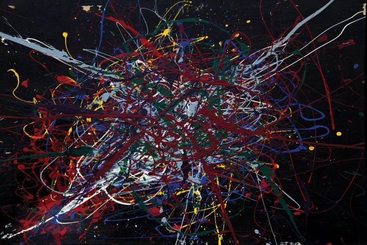 Awake in My Sleep by Shawn Jacobs wall art