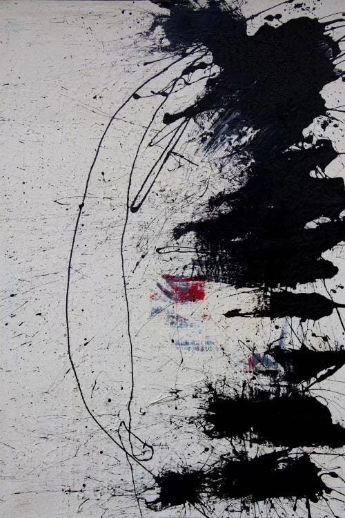Grip I by Shawn Jacobs wall art