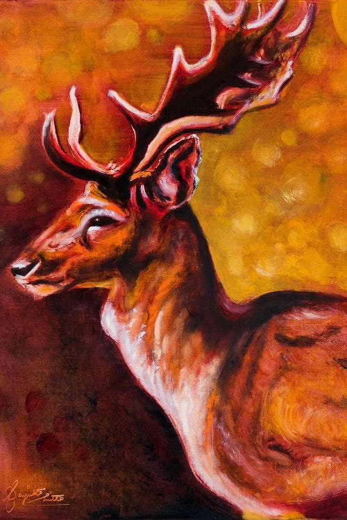 Distinguished Deer