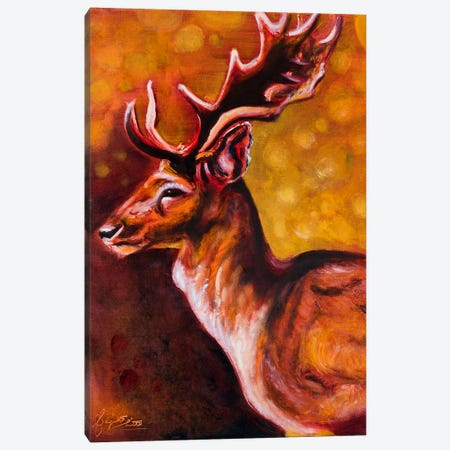 Distinguished Deer Canvas Print #SJU9} by Sanjukta Mitra Canvas Art