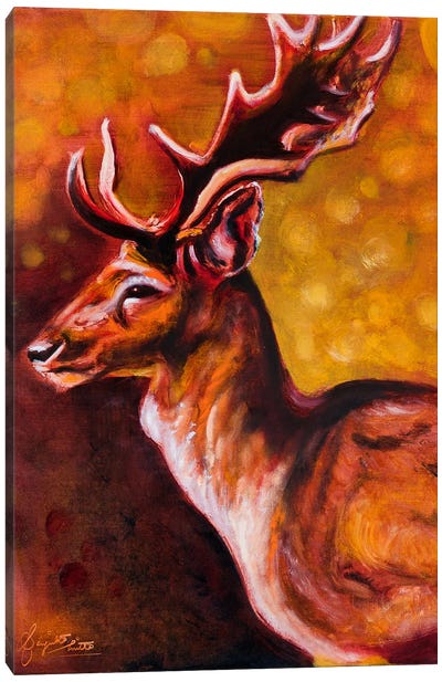 Distinguished Deer Canvas Art Print - Sanjukta Mitra