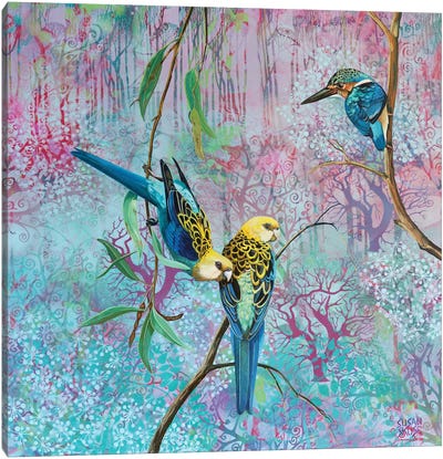 Equilibrium - Pale Headed Rosellas And Sacred Kingfisher Canvas Art Print - Susan Skuse