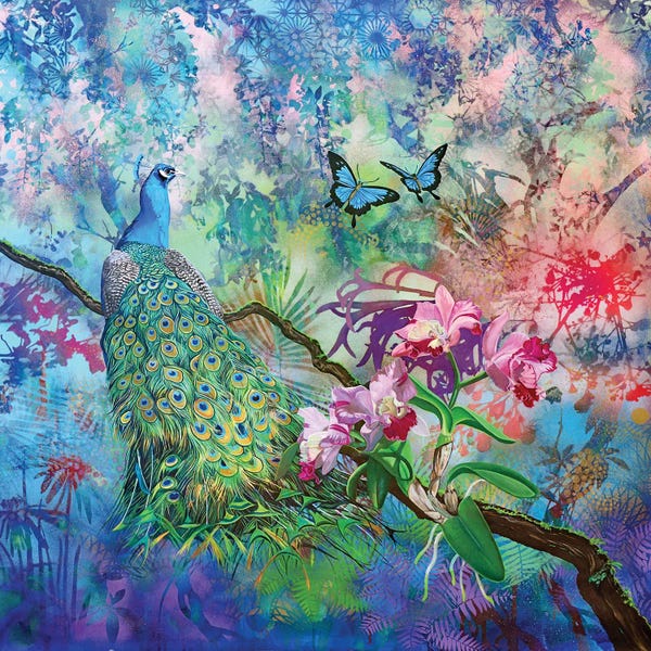 Butterflies and Flowers: Everyday Opulence by Susan Skuse