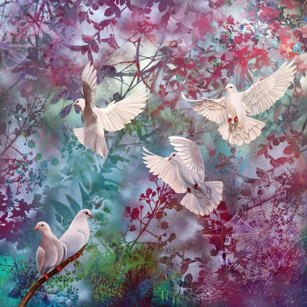 Doves & Pigeons: Flight Of The Heart by Susan Skuse