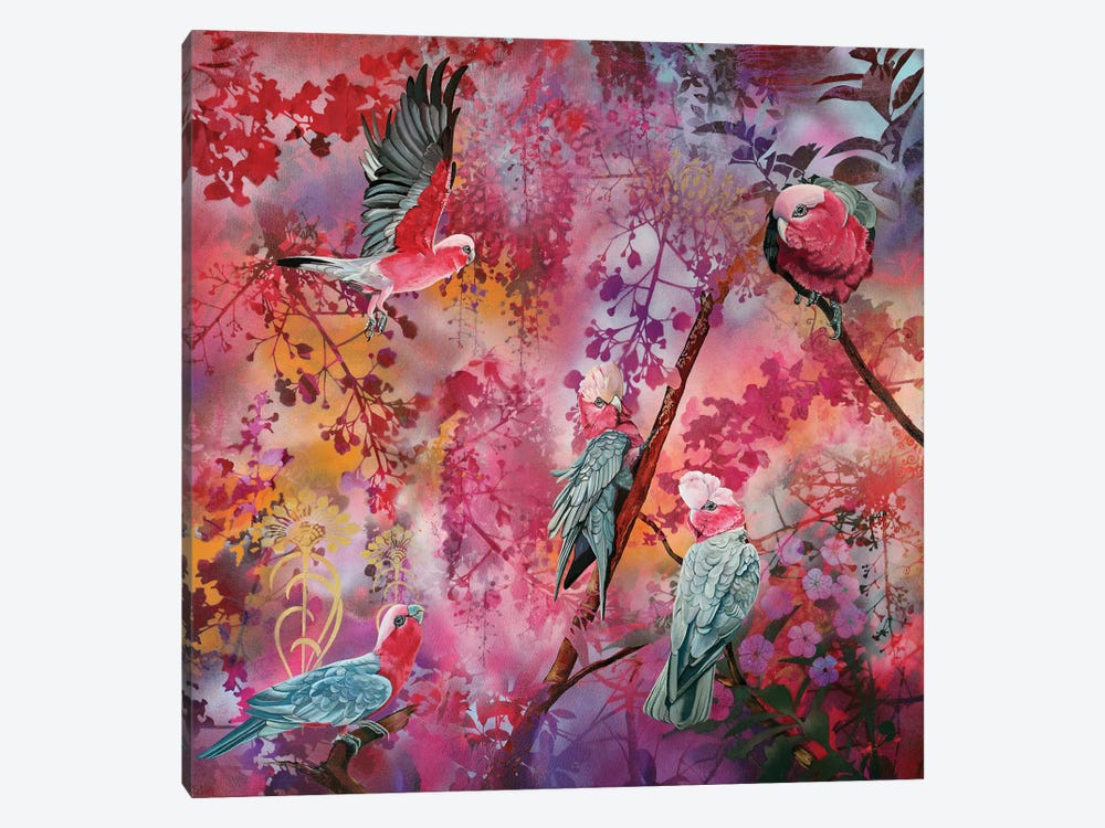 Fly-By - Galahs by Susan Skuse 1-piece Canvas Wall Art