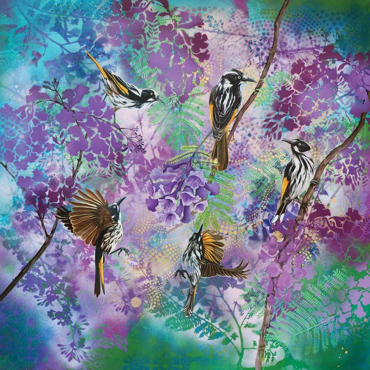 Jacaranda Time - New Holland Honeyeaters