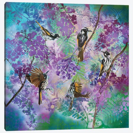Jacaranda Time - New Holland Honeyeaters Canvas Print #SKE17} by Susan Skuse Canvas Art Print