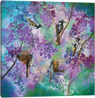 Jacaranda Time - New Holland Honeyeaters Canvas Art Print - Susan Skuse
