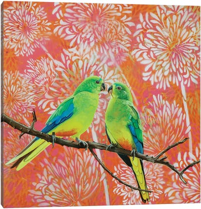 Orange Bellied Parrots Canvas Art Print - Love Birds