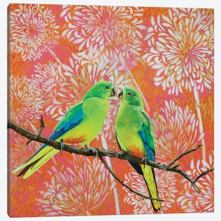 Orange Bellied Parrots Canvas Print #SKE18} by Susan Skuse Canvas Wall Art