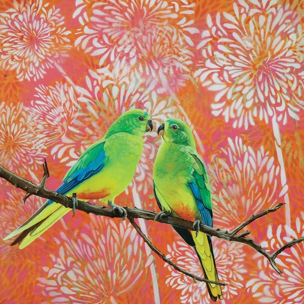 Love Birds: Orange Bellied Parrots by Susan Skuse