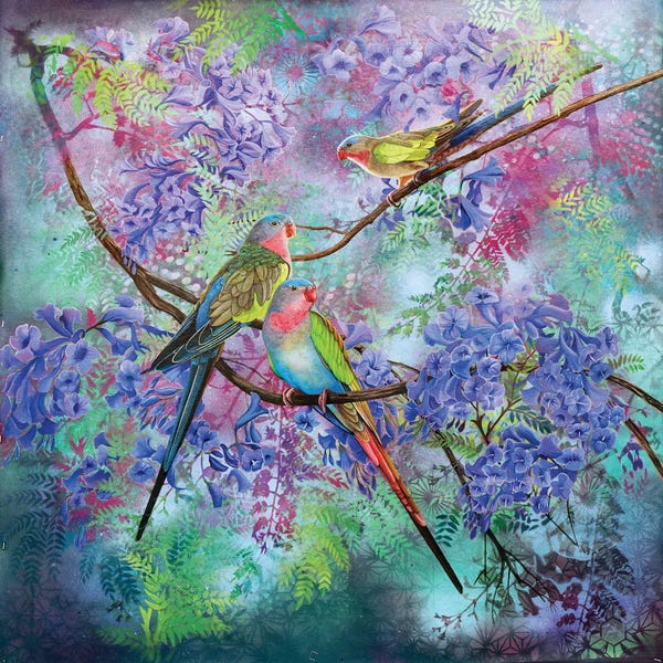 Parrots: A Royal Visit by Susan Skuse