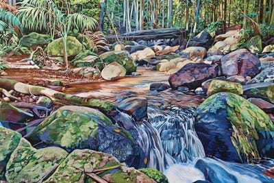 Always Emptying, Always Full - Curtis Falls Track by Susan Skuse canvas print