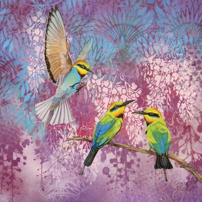 Room For One More - Rainbow Bee-Eaters by Susan Skuse canvas print