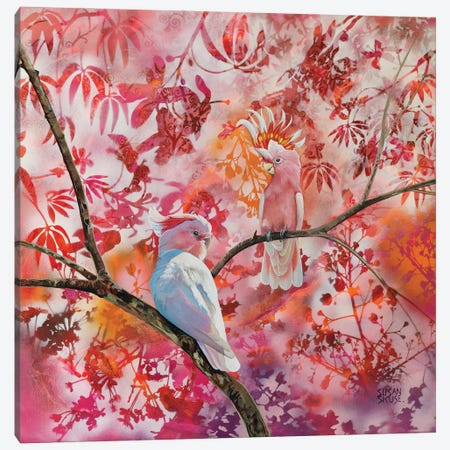 Think Pink - Major Mitchell Cockatoos Canvas Print #SKE22} by Susan Skuse Canvas Art Print