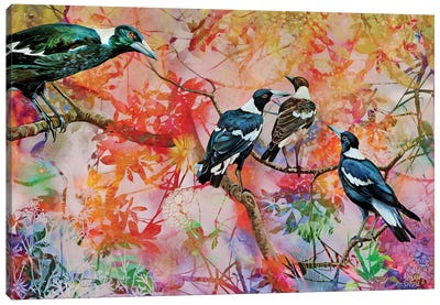 We Are Family - Australian Magpies Canvas Art Print - Susan Skuse